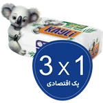 پک اقتصادی کایلی کلین